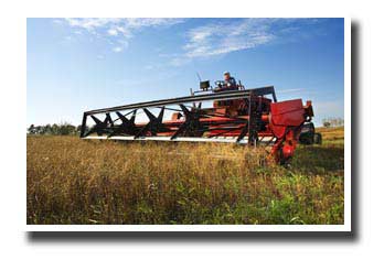 farmer plowing